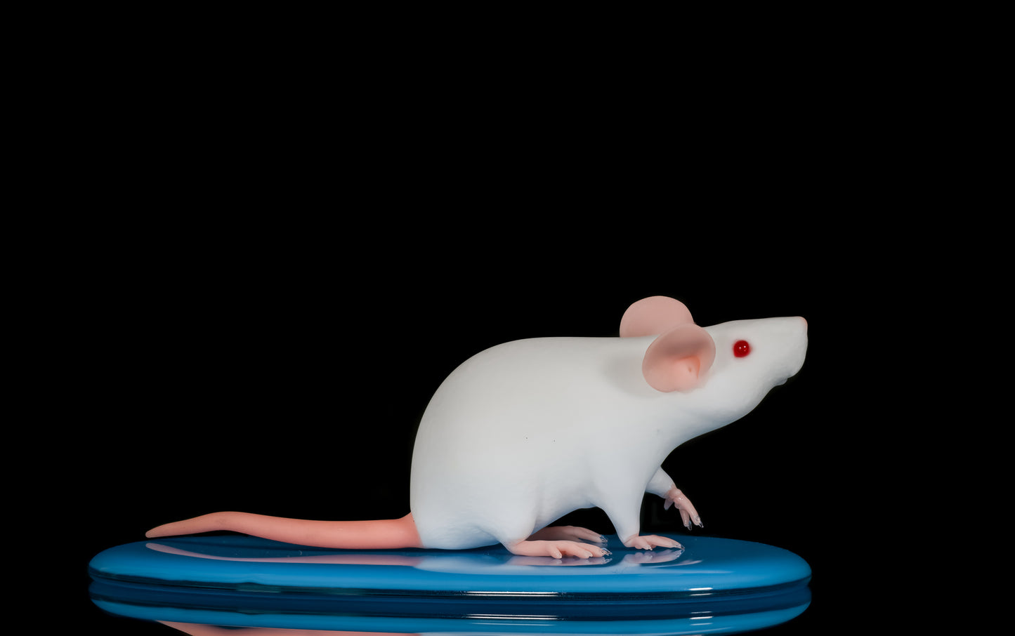 Trina Catarina "Glass Mouse"