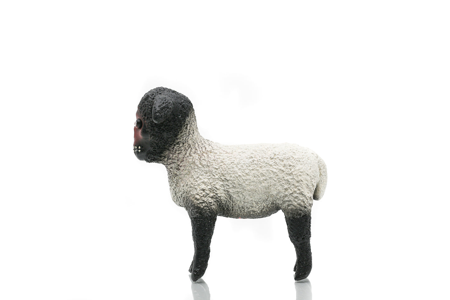 Double Parlour "Black Sheep"