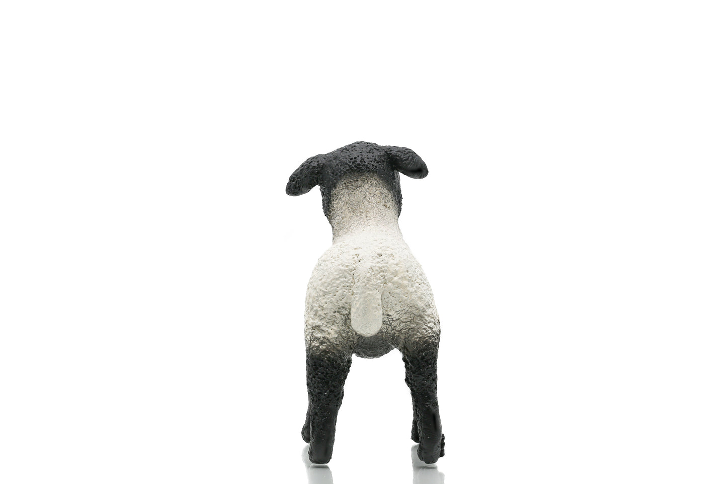 Double Parlour "Black Sheep"