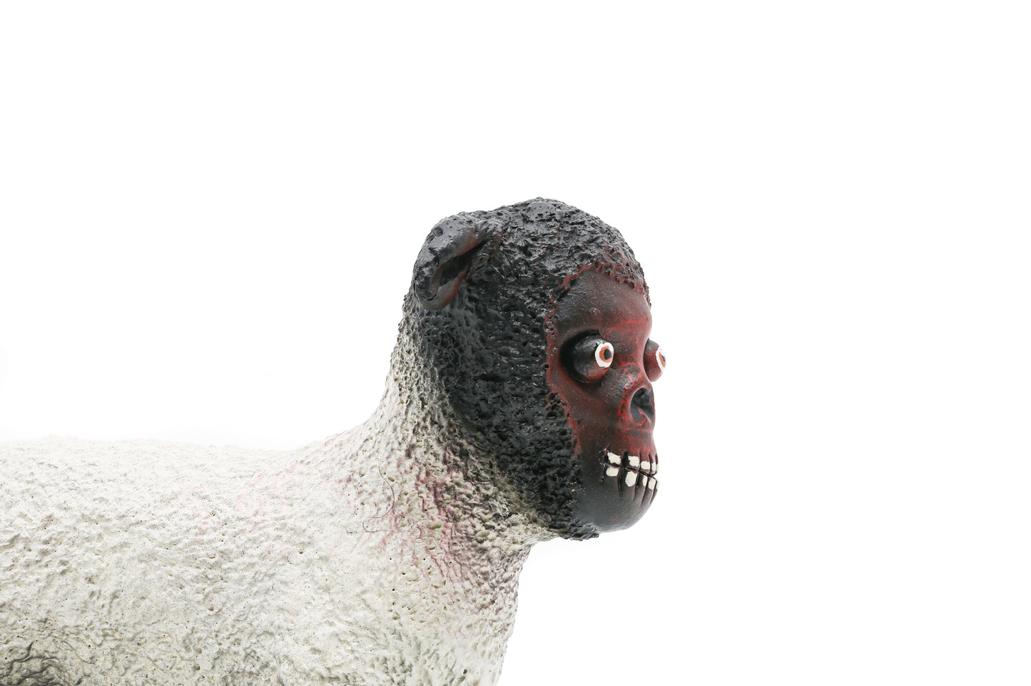 Double Parlour "Black Sheep"