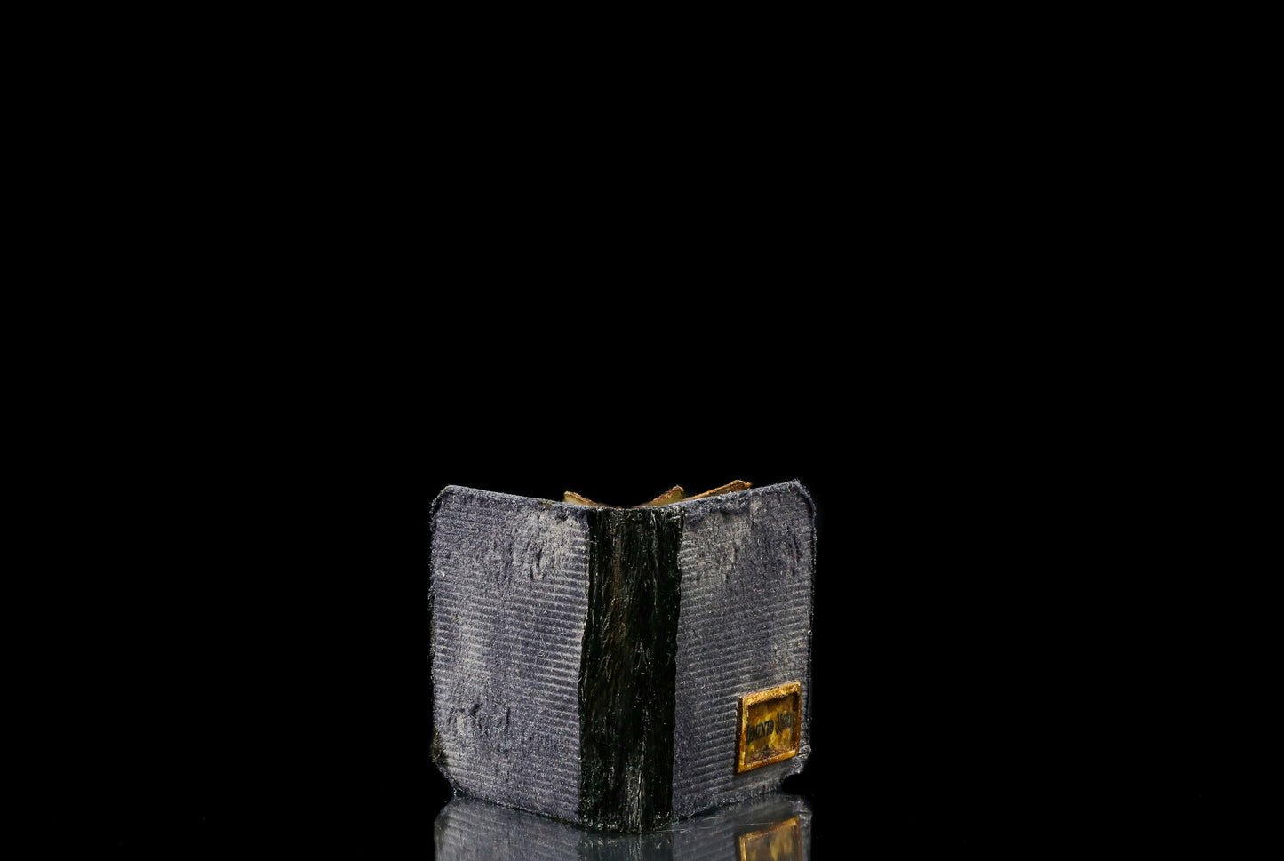 Tobacco & Regrets "Momento Mori" Miniature Photo Album