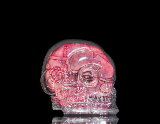 Frank Mysterio "Totonaca Skull" Carved